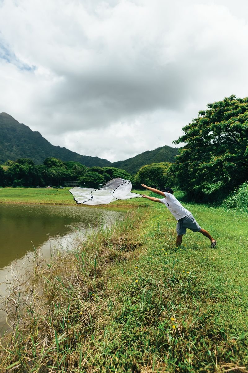 🎣 남향 수산 센터(난고 스이산 센타) 이미지 6
